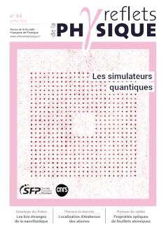 En couverture : Une matrice constituée de 600 atomes de rubidium individuellement piégés dans des pinces optiques, utilisée pour des applications de simulation quantique. La distance entre deux atomes voisins est de 6 microns. (Voir article page 7) © Thierry Lahaye, LCF, CNRS et IOGS.